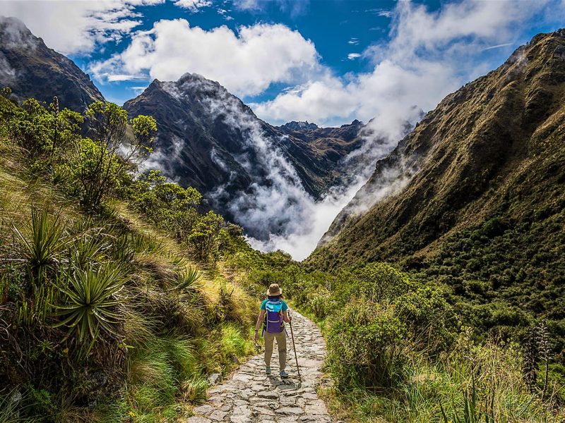 Inca Jungle Trek to Machupicchu
